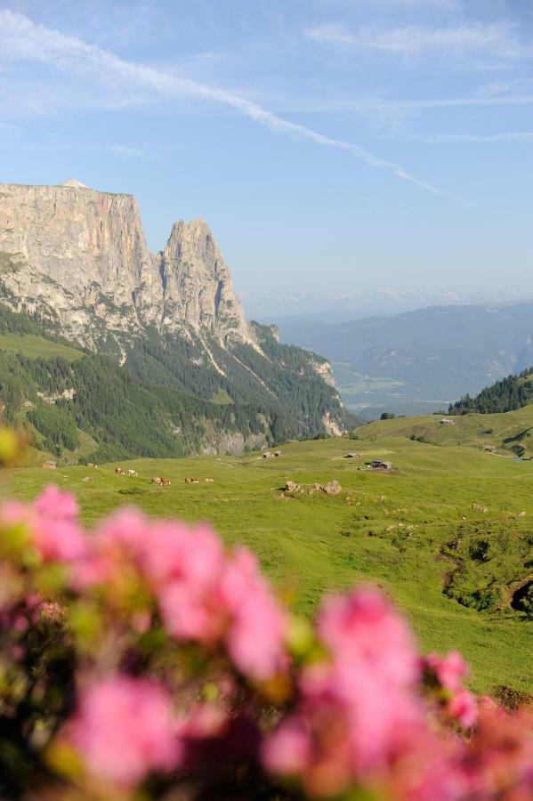 Apartments Schererhof Castelrotto Zewnętrze zdjęcie